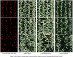 High-Resolution UAV Image Generation for Sorghum Panicle Detection